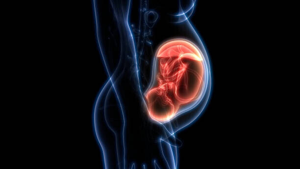 best-ivf-center-in-bhopal-with-high-success-rate-big-0