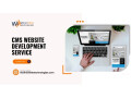 cms-website-development-service-call-91-7003640104-small-0
