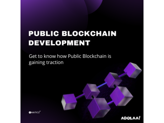 Public Blockchain Development Company