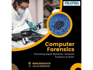 Computer Forensics Services|Computer Forensics