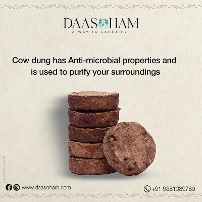 cow-dung-garland-big-0