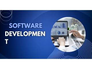 Software Company in Lucknow