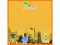 2-nights-3-days-gangtok-tour-package-for-couple-small-0