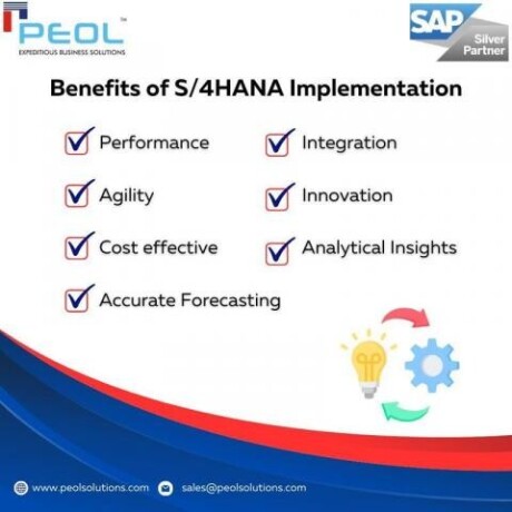 sap-s4hana-migration-in-indiaariba-partners-in-bangalore-big-0