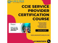 best-ccie-training-institute-in-delhi-noida-gurgaon-small-0