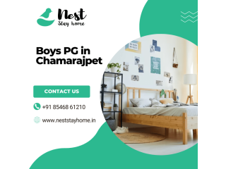 Boys PG in Chamarajpet