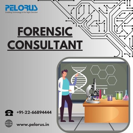 forensic-consultant-forensics-audit-in-pelorus-big-0