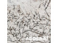 sculpting-dreams-the-story-behind-granite-craftsmanship-small-0