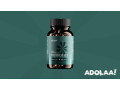 what-to-know-about-before-buying-bioma-probiotics-small-0