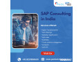 sap-consulting-in-india-small-0