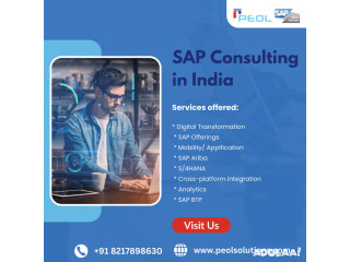 SAP Consulting in India