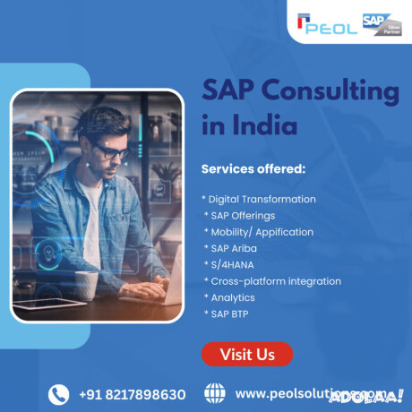 sap-consulting-in-india-big-0