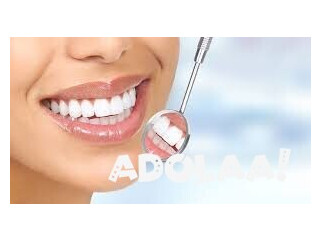The Connection Between Oral Health and Overall Wellness