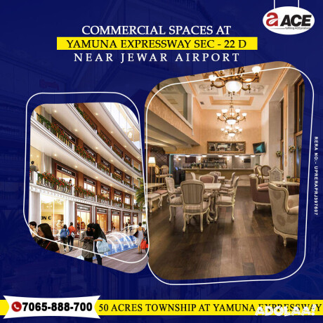 discover-the-shops-at-ace-yamuna-expressway-at-7065-888-700-big-1
