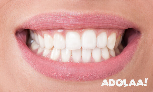 pearls-of-wisdom-navigating-oral-health-big-0
