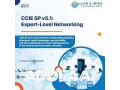 online-training-cisco-ccna-ccnp-ccie-at-lan-wan-technology-small-0