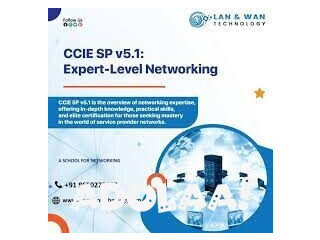 Online Training Cisco CCNA CCNP CCIE at LAN & WAN TECHNOLOGY
