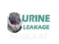 ayurvedic-treatment-of-leakage-of-urine-in-women-small-0