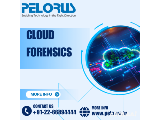 Cloud Forensics|data forensics