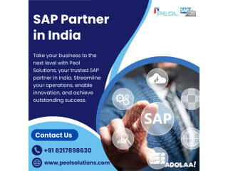 SAP Partner in India