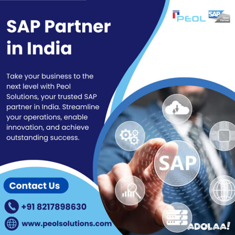 sap-partner-in-india-big-0