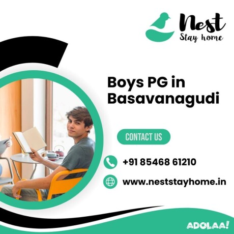 boys-pg-in-basavanagudi-big-0