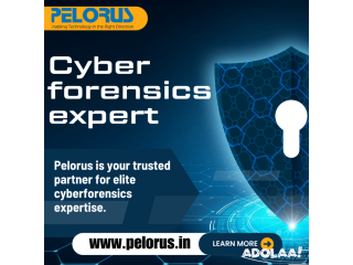 Cyber forensics expert|cyber forensics services