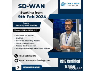 VIPTELA Cisco SD-WAN Deployment and Troubleshooting by LAN AND WAN