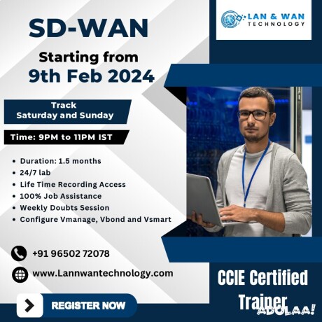 viptela-cisco-sd-wan-deployment-and-troubleshooting-by-lan-and-wan-big-0