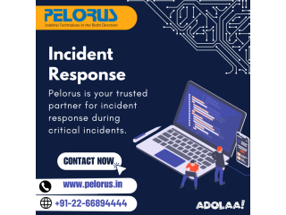 Incident Response | Digital Forensics Tool