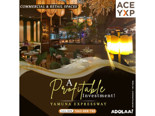 ACE YXP Price, Location, Floor & Brochure | 7065888700