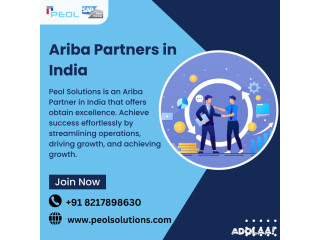 Ariba Partners in India