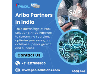 Ariba Partners in India | Peol Solutions