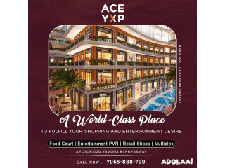 Buy Commercial Spaces At ACE YXP