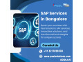 sap-services-in-bangalore-sap-services-in-india-small-0