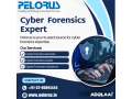 pelorus-cyber-forensics-expert-small-0