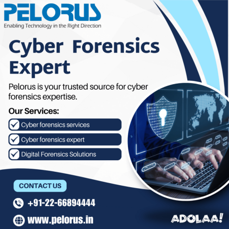 pelorus-cyber-forensics-expert-big-0