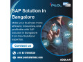 sap-solution-in-bangalore-sap-solution-in-india-small-0