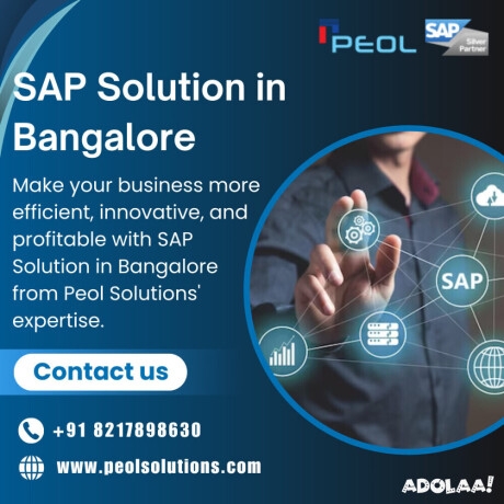 sap-solution-in-bangalore-sap-solution-in-india-big-0