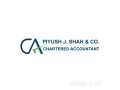 piyush-j-shah-company-small-0