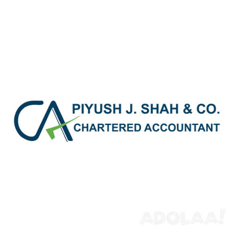 piyush-j-shah-company-big-0