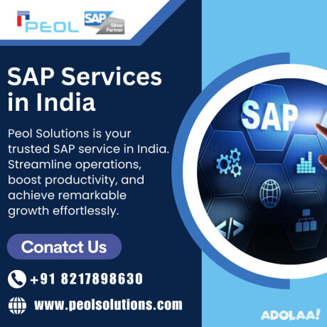 sap-services-in-india-sap-services-in-bangalore-big-0