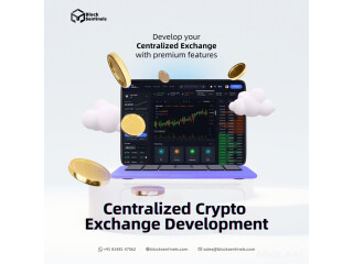 Centralized crypto exchange development