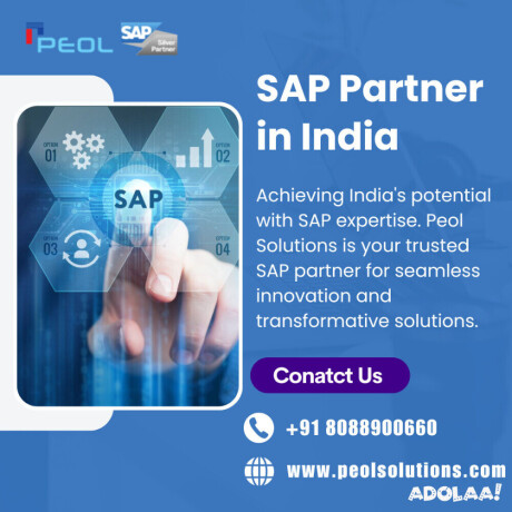 sap-partner-in-india-sap-partner-in-bangalore-big-0