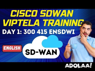 Cisco SD-WAN Viptela with Lab Access from LAN AND WAN TECHNOLOGY