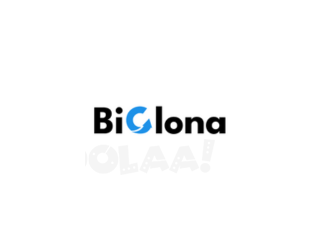 On Demand App Development Company - Biglona