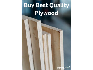 Best Plywood Manufacturers In Delhi NCR