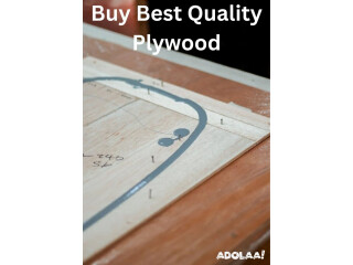 Best Plywood Manufacturers In Delhi NCR