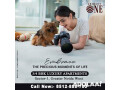 hurry-secure-your-3-bhk-luxury-apartment-at-arihant-one-rates-revising-soon-small-7