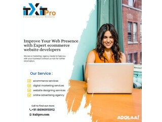 Improve Your Web Presence with Expert ecommerce website developers